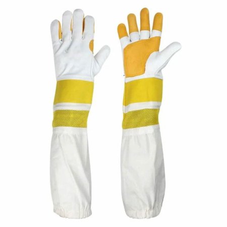 Bee Gloves_NCI-3204_138_2.jpg